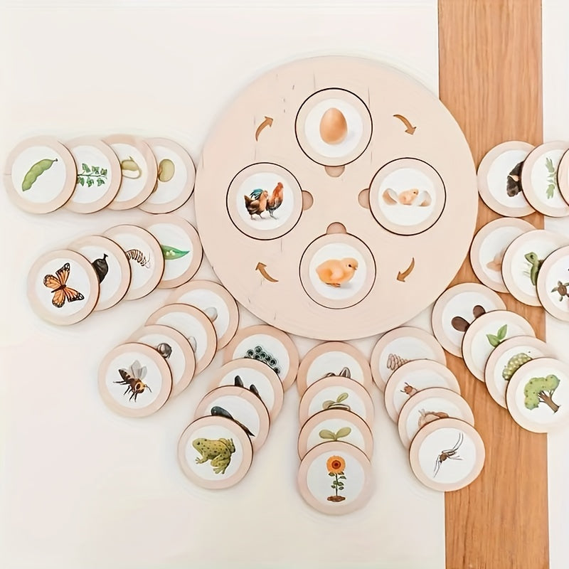Plateau Montessori Cycle de Vie en Bois - Puzzle Éducatif Sciences Naturelles pour Enfants