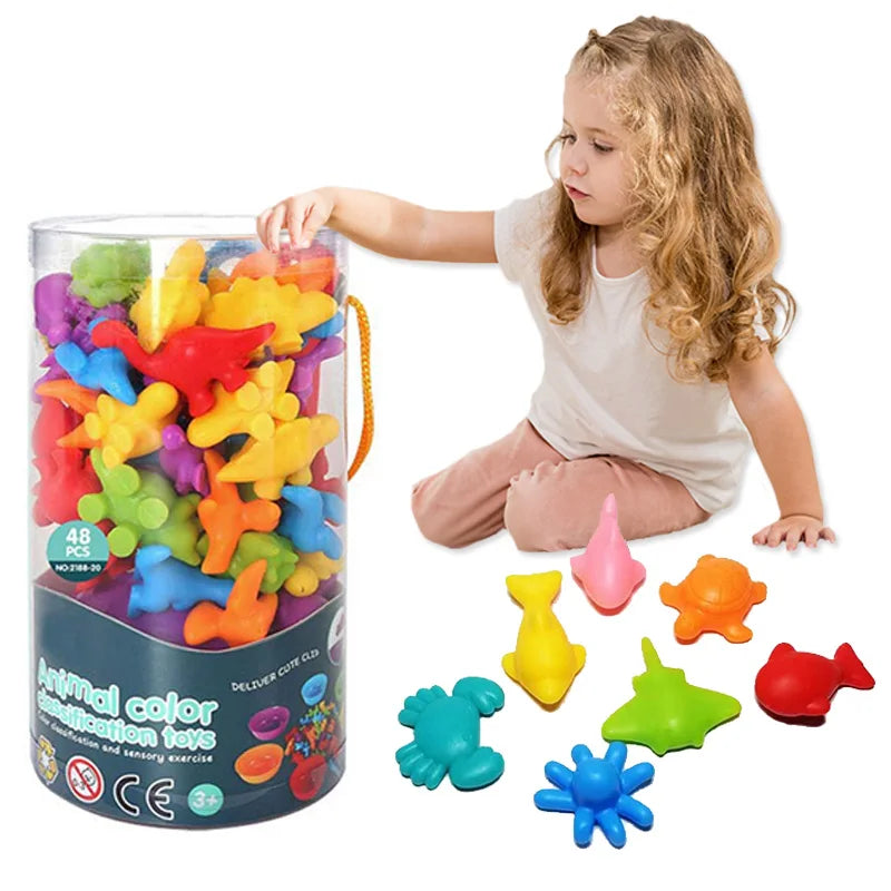 Jeu de Tri Arc-en-Ciel Montessori - Puzzle Sensoriel Animaux