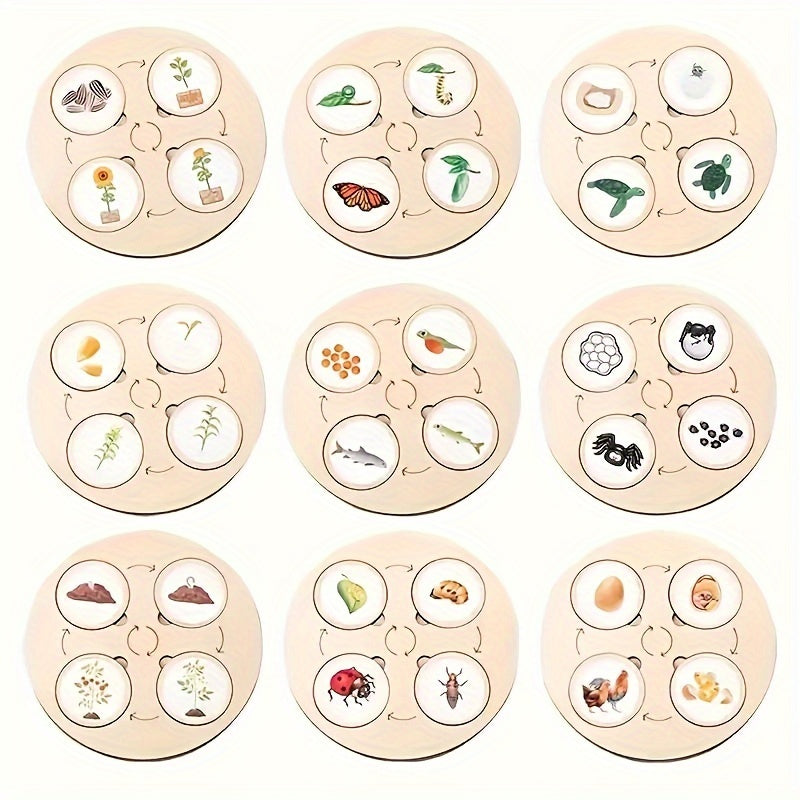 Plateau Montessori Cycle de Vie en Bois - Puzzle Éducatif Sciences Naturelles pour Enfants